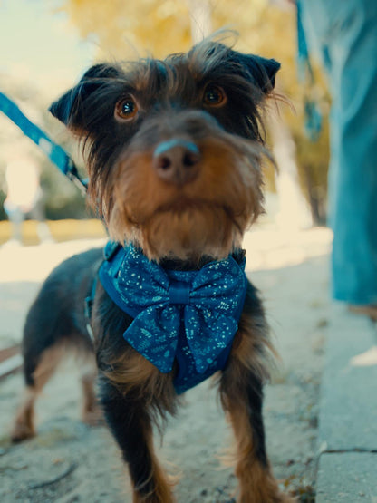 Pajarita Madrid Turquesa