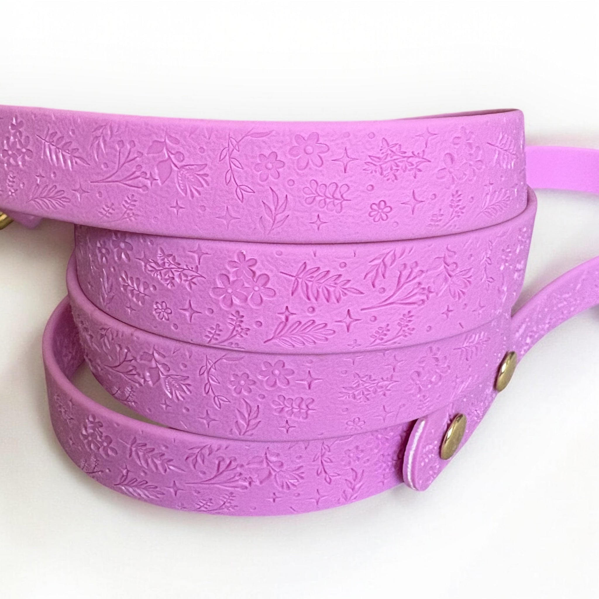 MALVA - Correa Greta