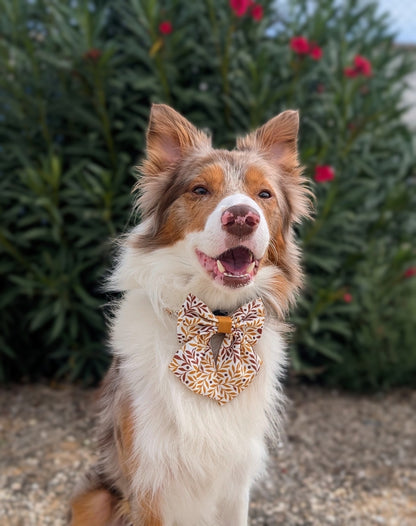 Collar Dual Marrón