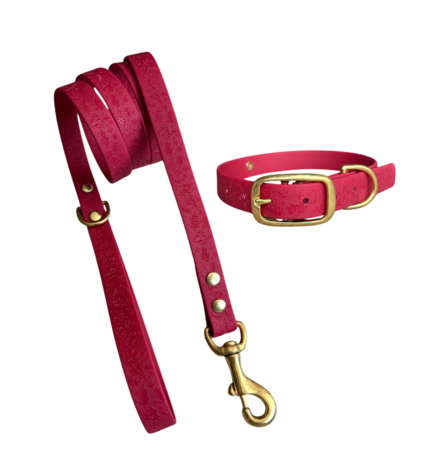 Pack Collar y Correa GRETA - Rojo