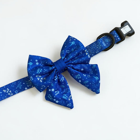 Collar + Pajarita azul eléctrico