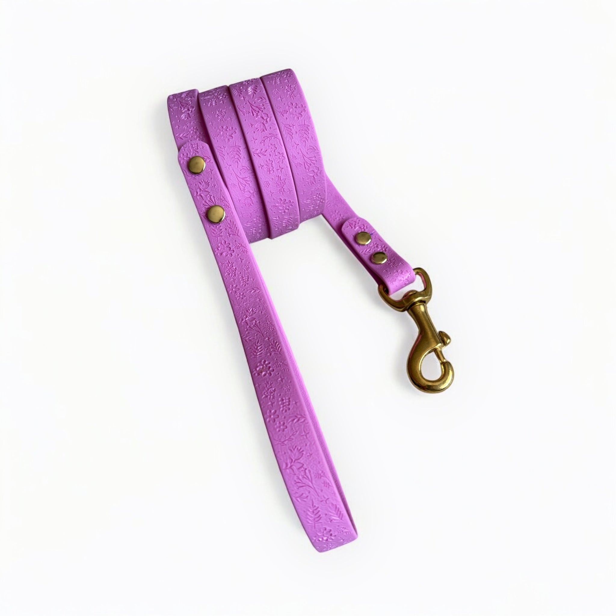 MALVA - Correa Greta