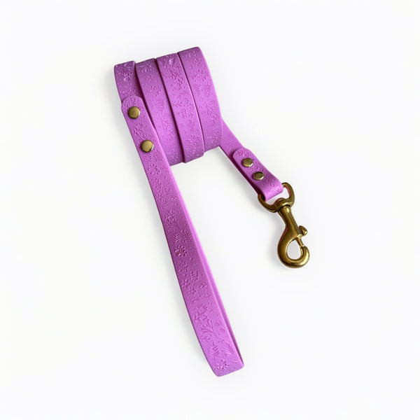 MALVA - Correa Greta