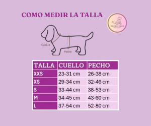 Arnés ajustable Madrid Turquesa