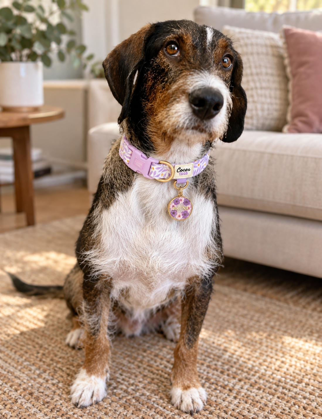 Collar Dual Lila