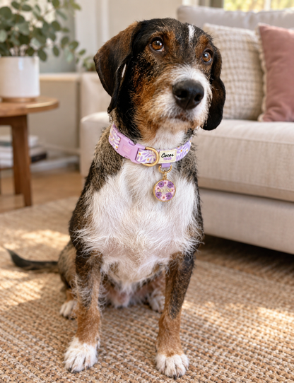 Collar Dual Lila