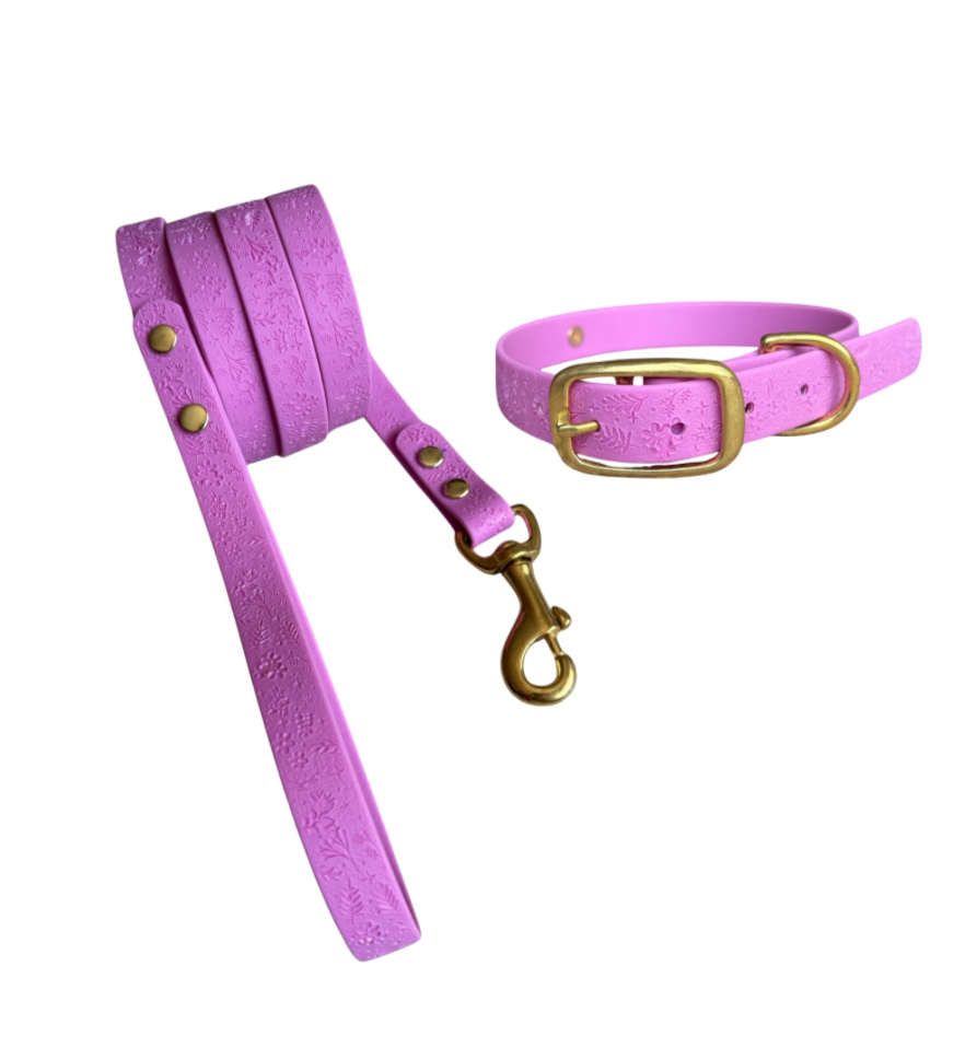 Pack Collar y Correa GRETA - Malva