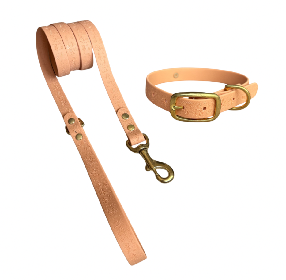 Pack Collar y Correa GRETA - Sillín