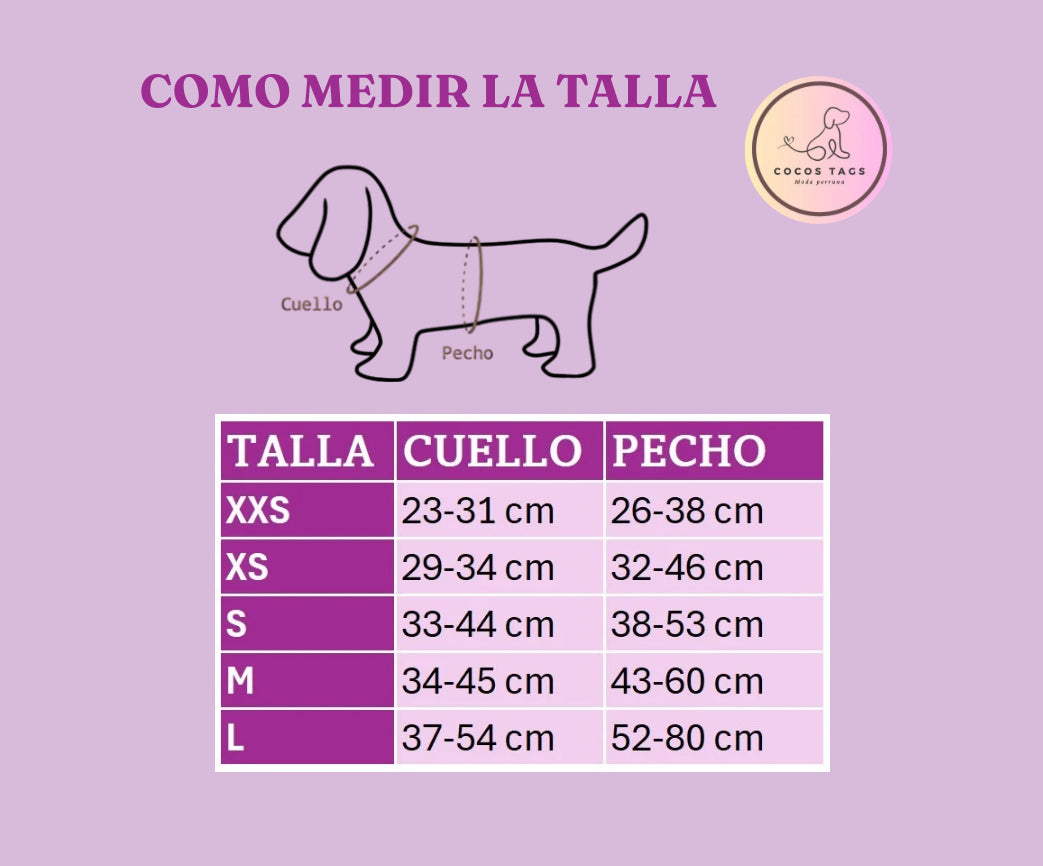 Pack Turquesa