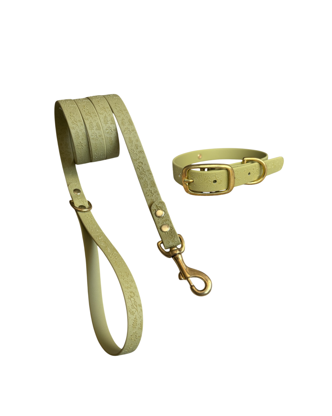 Pack Collar y Correa GRETA - Verde Oliva