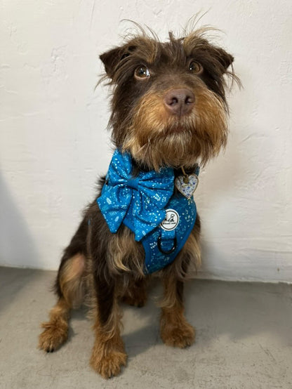 Pajarita Madrid Turquesa