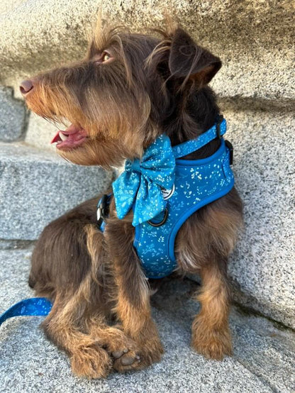 Arnés ajustable Madrid Turquesa