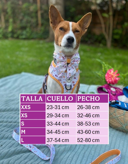 Pack Mostaza ahorro