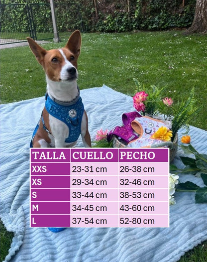 Pack Turquesa